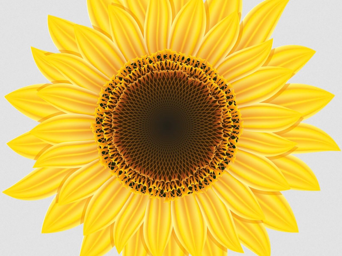 Talbot Avenue Bridge Meet &&nbsp;Greet